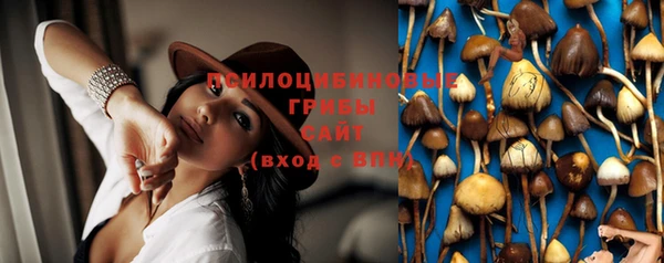 экстази Белокуриха