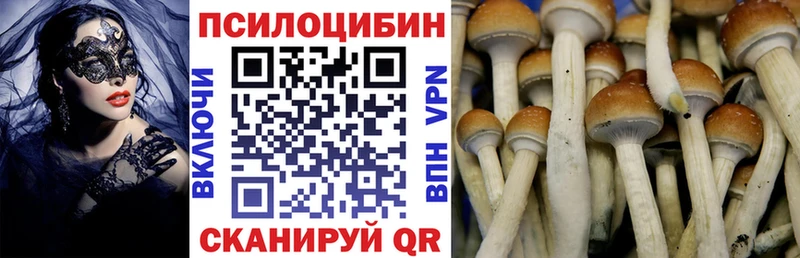 Псилоцибиновые грибы MAGIC MUSHROOMS Ялуторовск